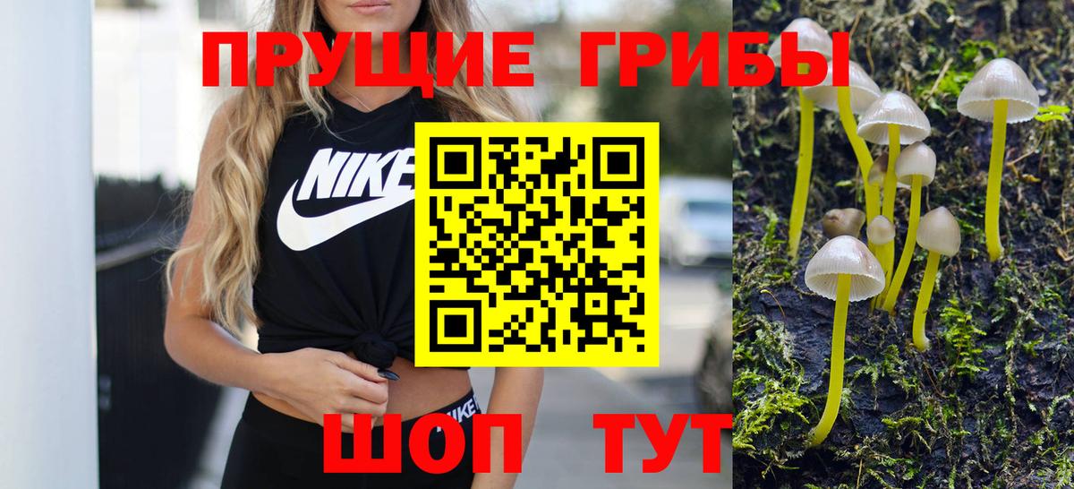 Волгодонск  Псилоцибиновые грибы мухоморы  Вход с VPN 